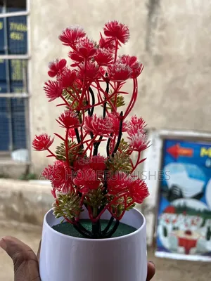 Flower+Pot