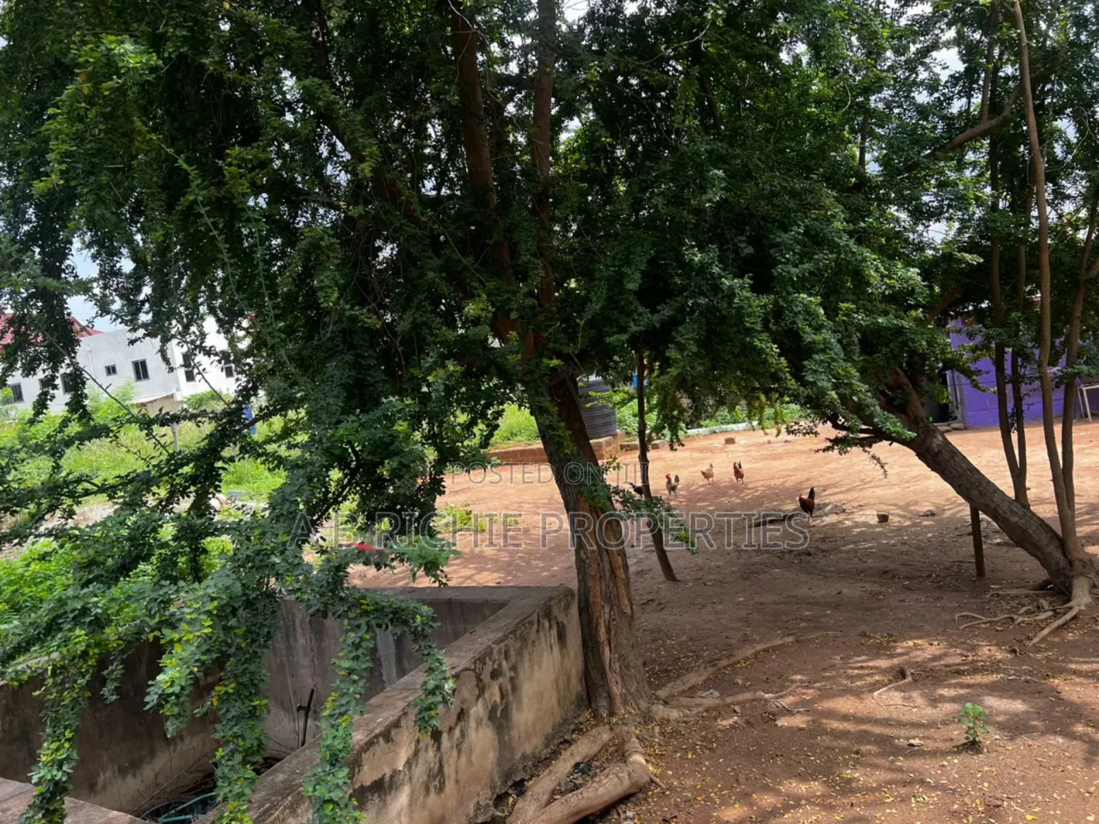 100x200 Feet Land for Sale at Adenta Sakora Closer to Agbogba