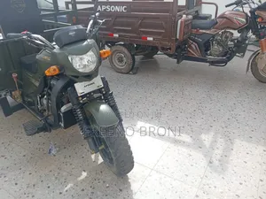 New Tricycle 2024 Brown