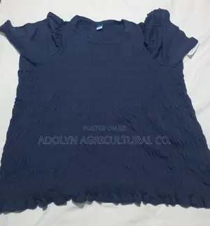 Blue Strecth Shirt