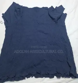 Blue Strecth Shirt