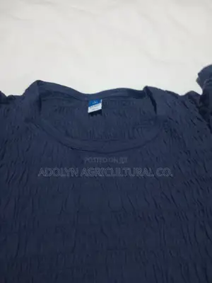 Blue Strecth Shirt