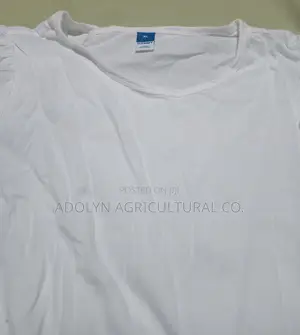Long Sleeve White Shirt