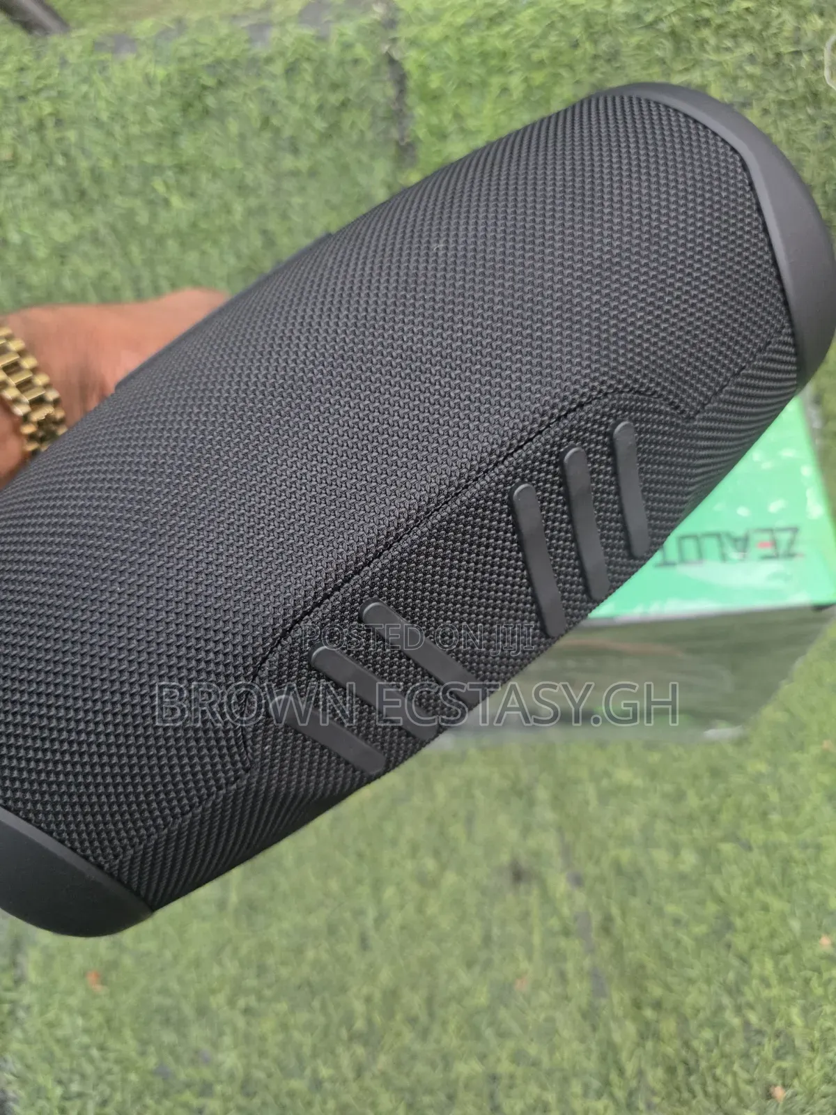 Original Zealot P12 Speaker