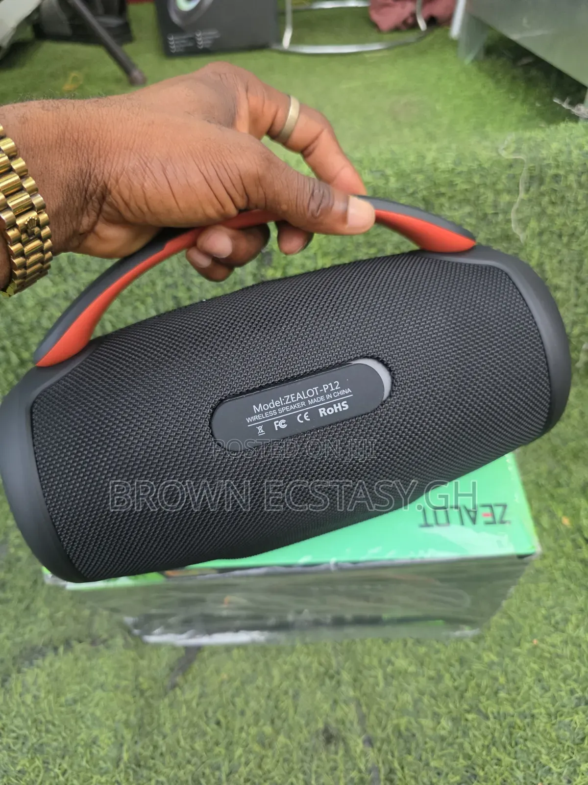 Original Zealot P12 Speaker