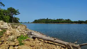 Volta Region, Tongor (Kaira) _ 20 Acres Volta Riverfront Land