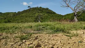 Volta Region, Tongor (Kaira) _ 20 Acres Volta Riverfront Land