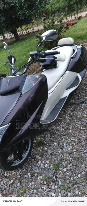 Max-S 2012 Brown