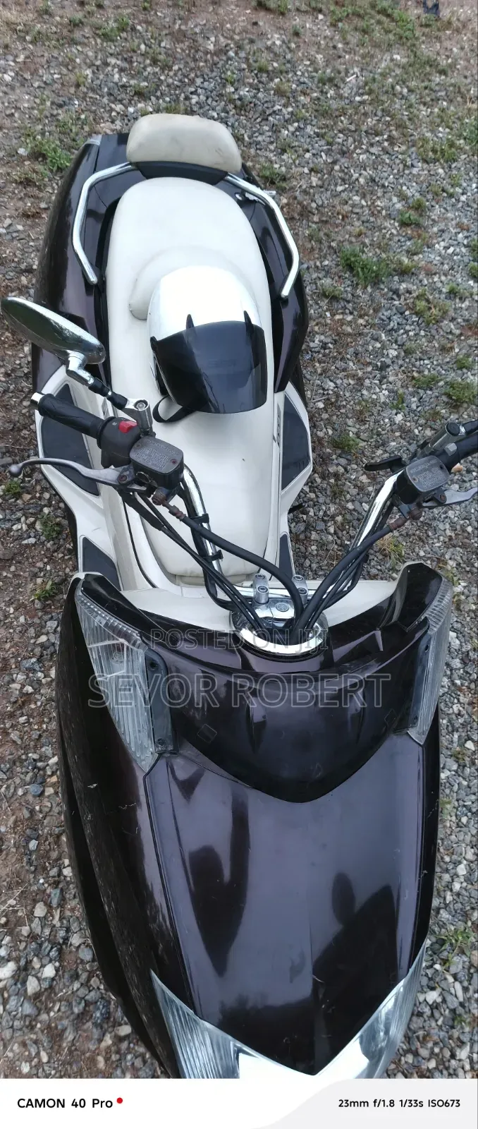 Max-S 2012 Brown