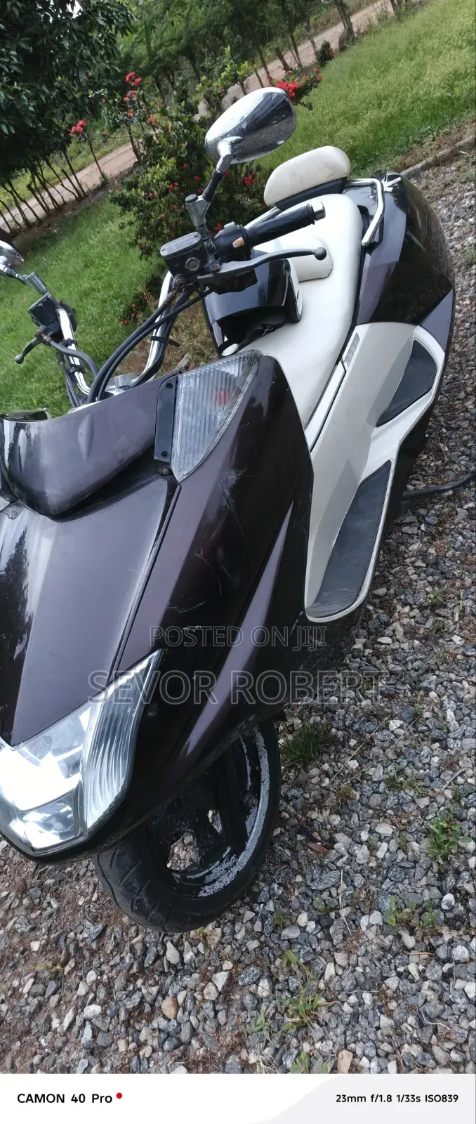 Max-S 2012 Brown