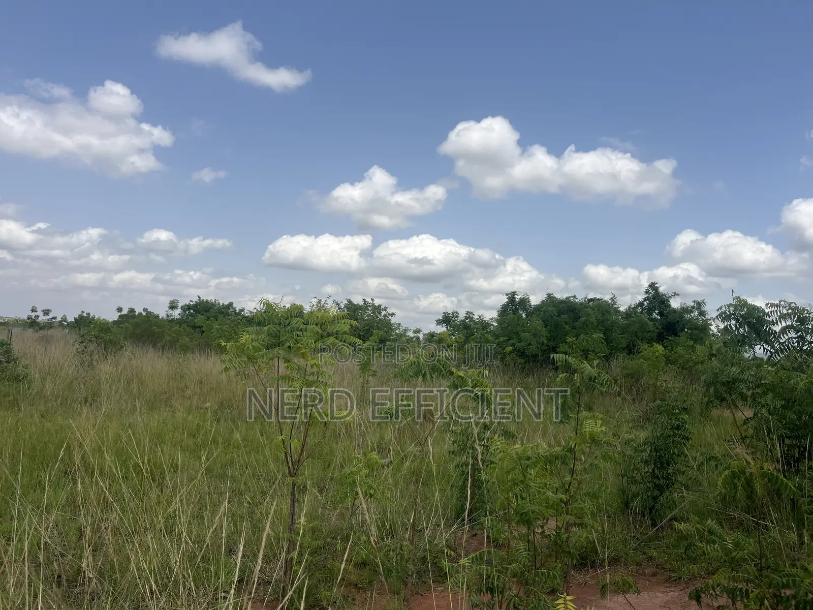 Registered Land for Sale at Ayikuma