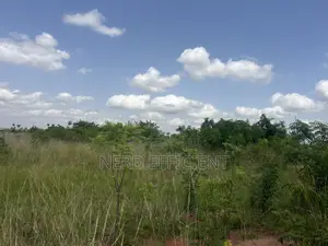 Registered Land for Sale at Ayikuma