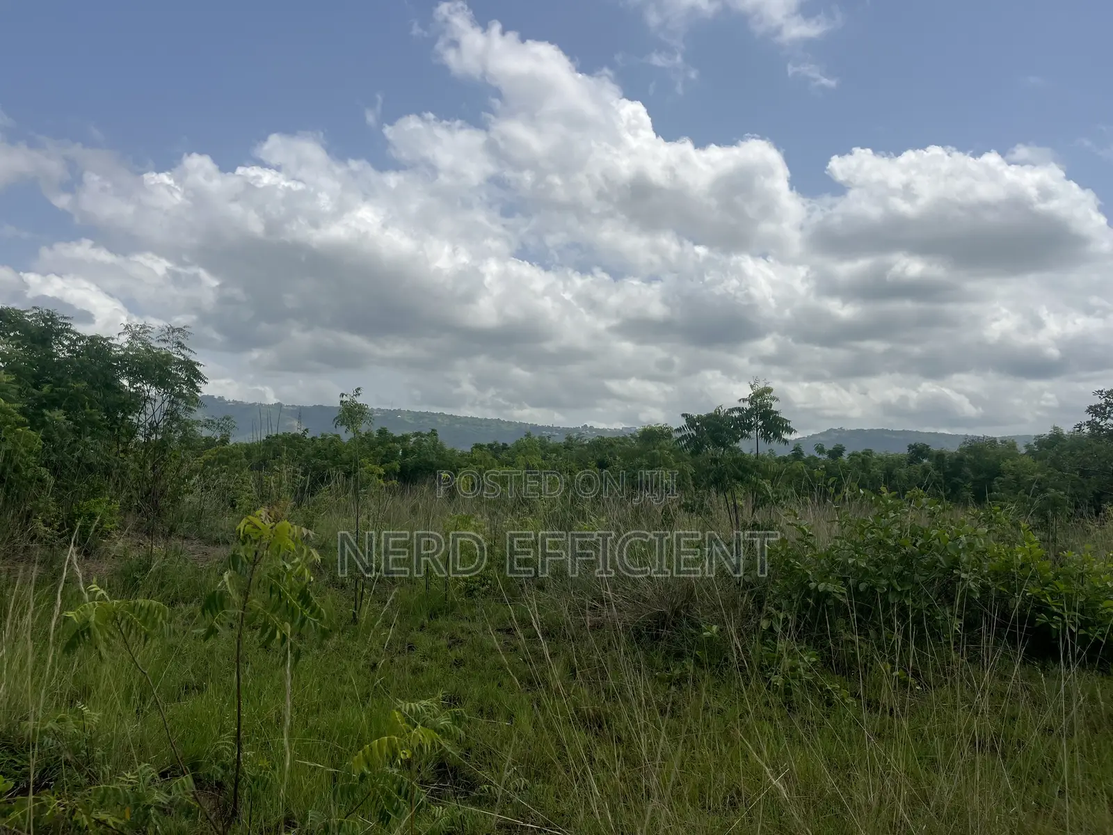 Registered Land for Sale at Ayikuma