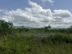 Registered Land for Sale at Ayikuma