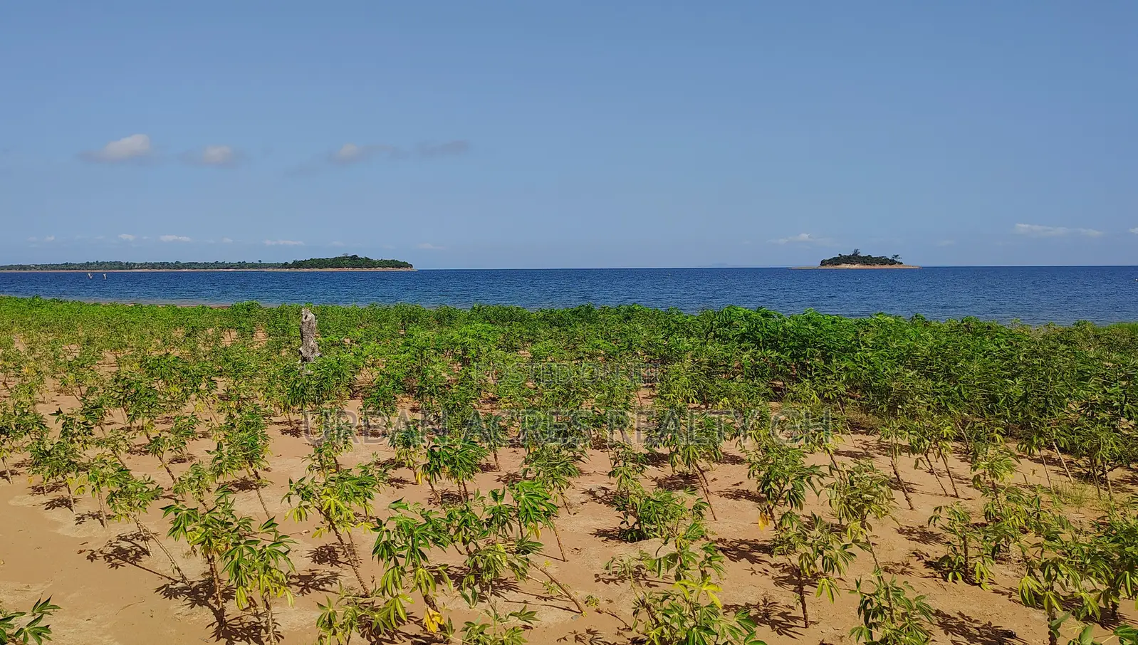 Volta Region, Tongor (Dzemeni) _ 15.64 Acres Riverfront Land