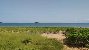 Volta Region, Tongor (Dzemeni) _ 15.64 Acres Riverfront Land