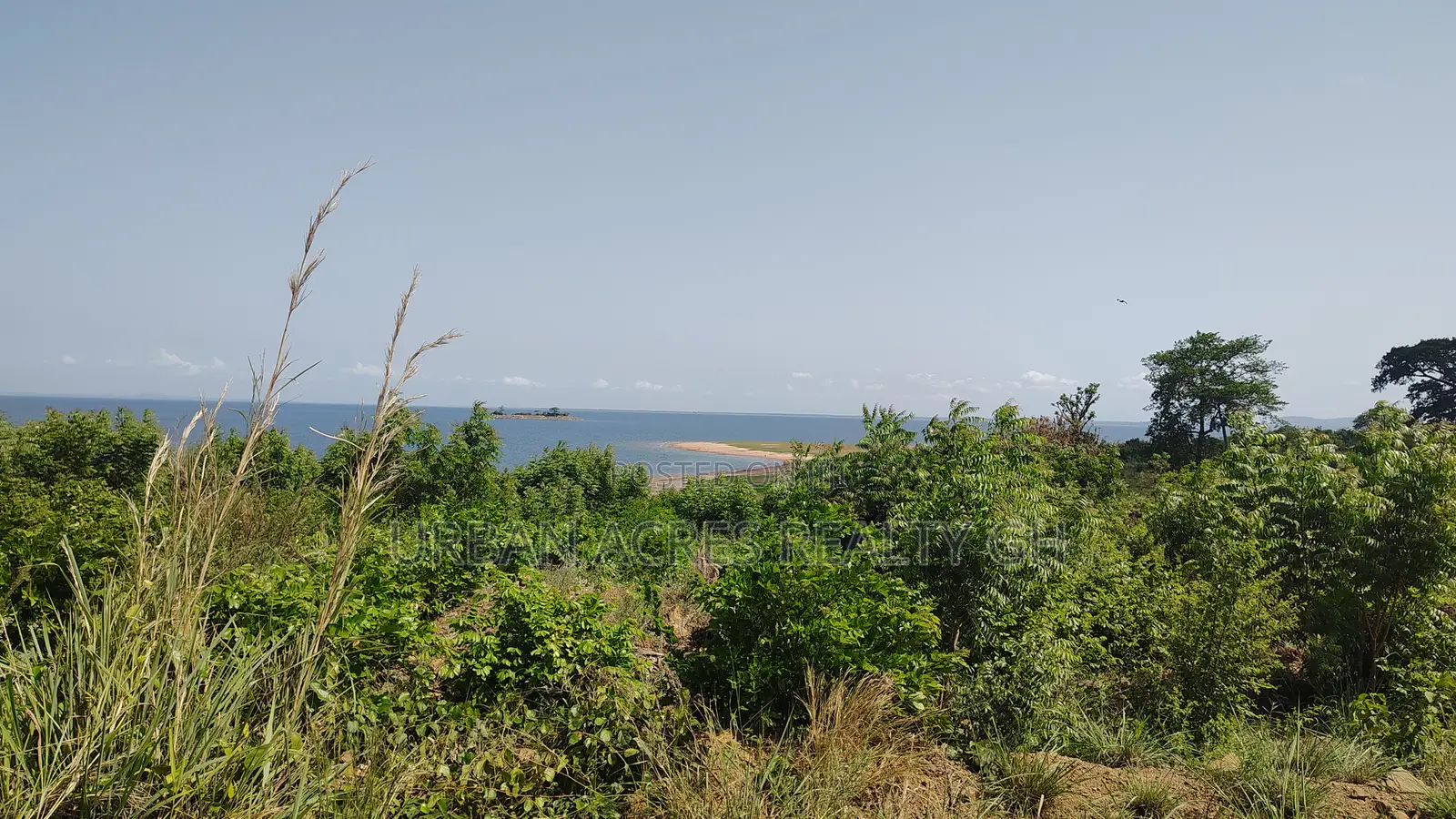 Volta Region, Tongor (Dzemeni) _ 15.64 Acres Riverfront Land