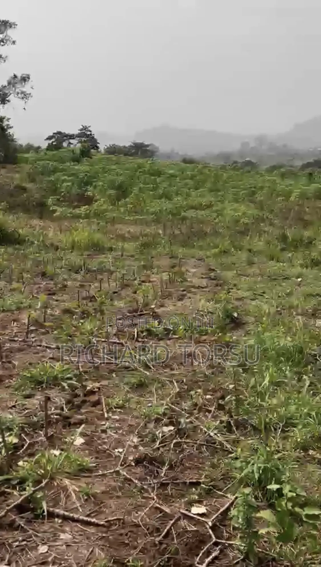 Court-Signed Sealed Land for Sale at Palms Villa, Otoas