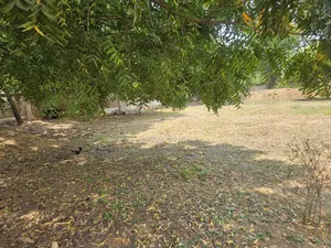 Three Plots With a Warehouse on It for Sell at Tema Community, 9.