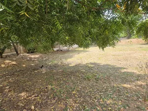Three Plots With a Warehouse on It for Sell at Tema Community, 9.