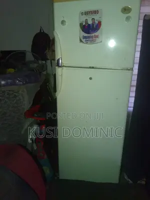 Working Perfect With No Fault Fridge