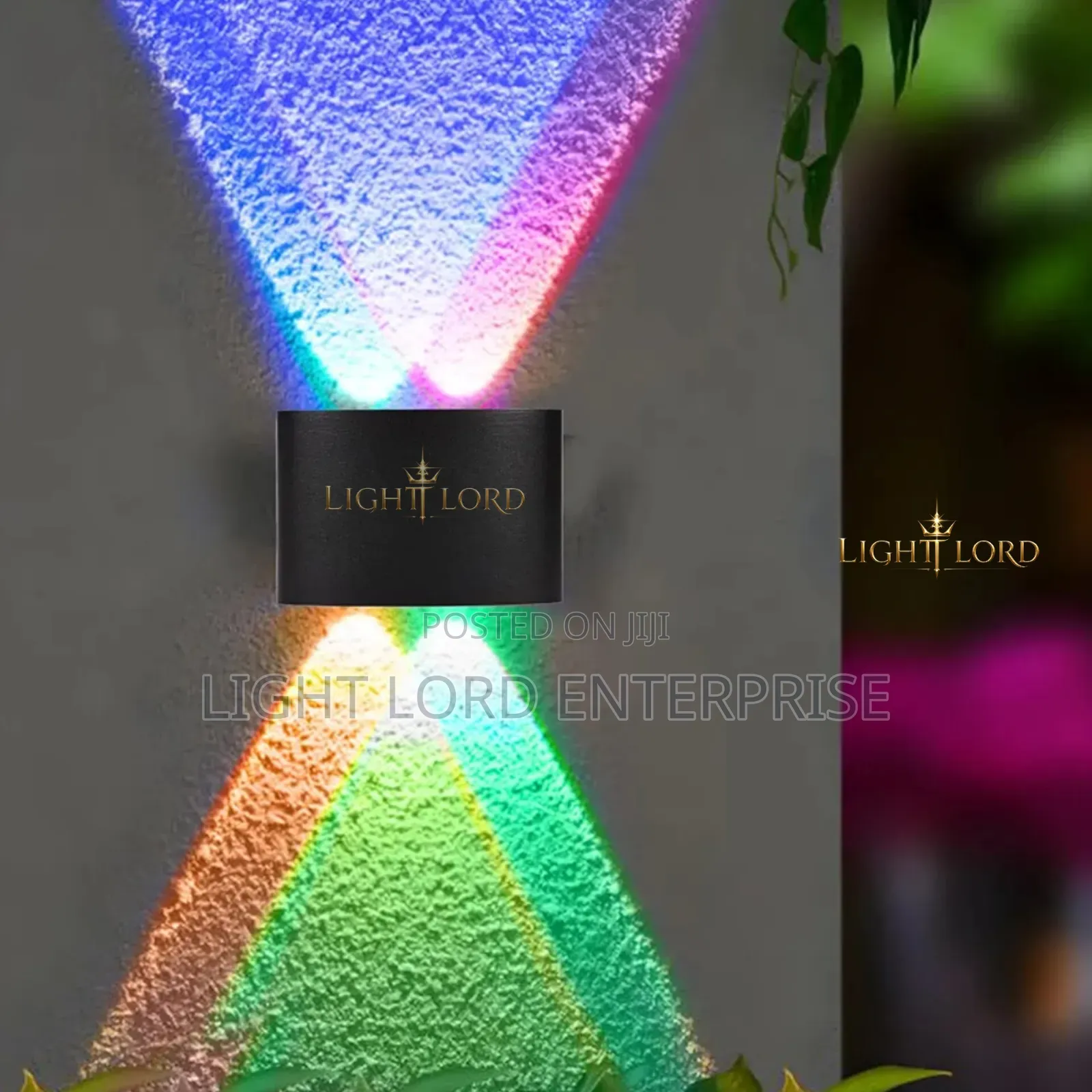 Premium Quality Muiti Color Wall Light