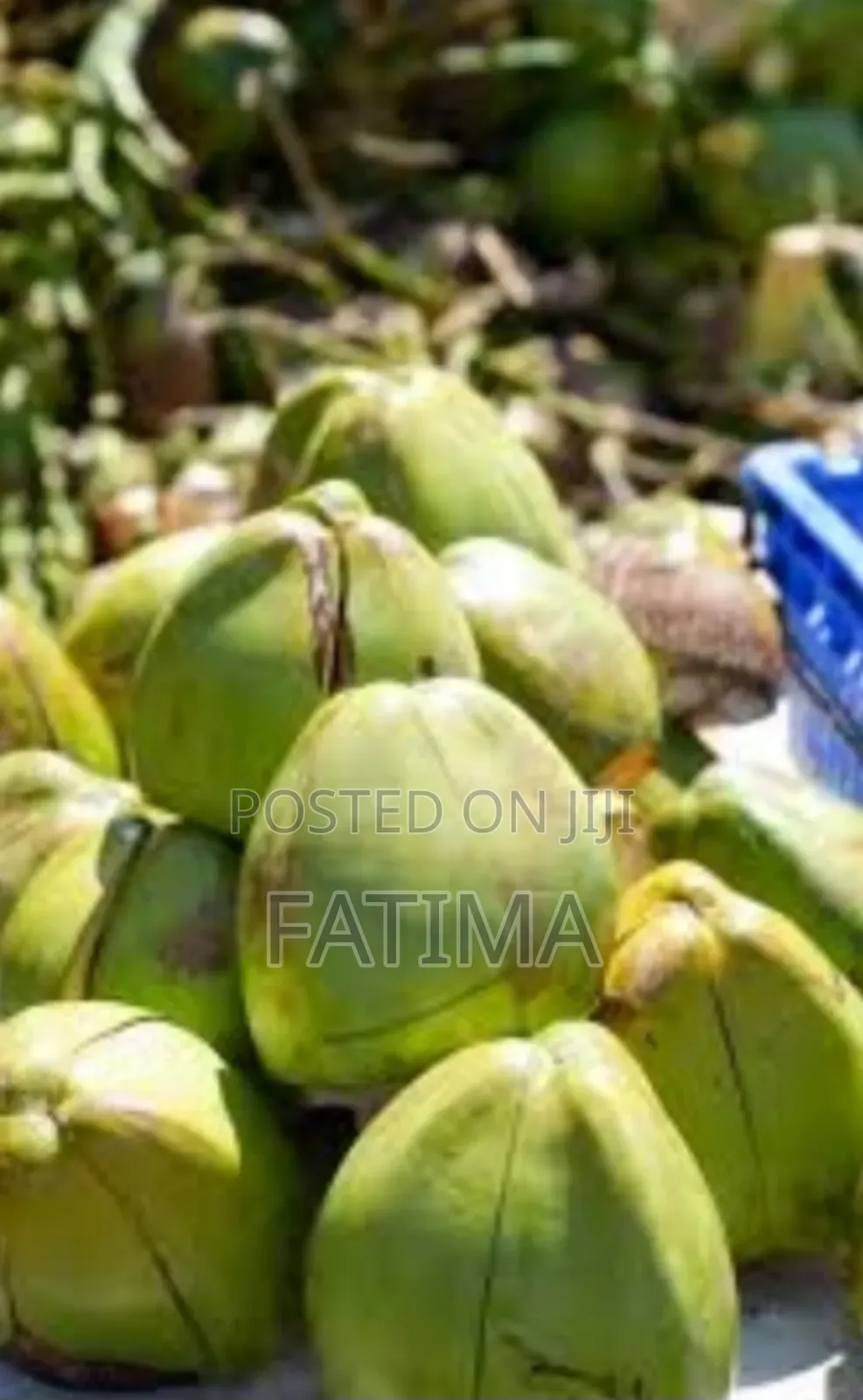 Farm Fresh Coconut