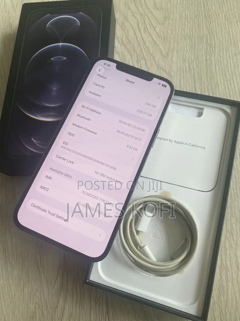 Apple iPhone 12 Pro Max 256 GB Gray