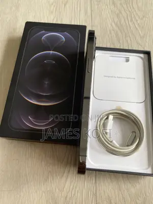 Apple iPhone 12 Pro Max 256 GB Gray