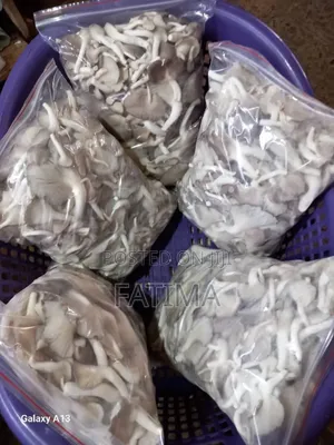 Fresh Oyster Mushrooms