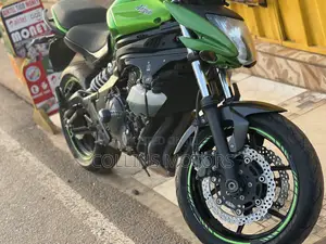 Kawasaki 2019 Green