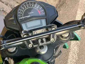 Kawasaki 2019 Green