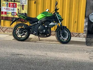 Kawasaki 2019 Green