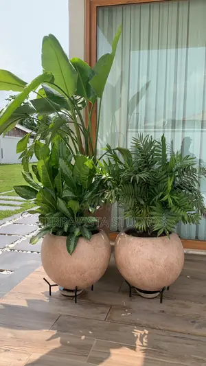 Modern Landscape Planters for Homes Offices (A Set of Three)