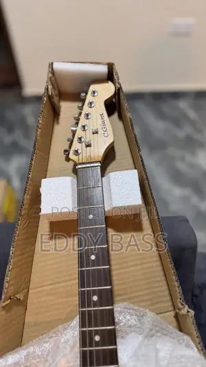 New C.Giant Strat Electric Guitar
