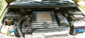 Kia Carnival 2002 Green