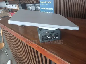 Starlink Mini Power Bank