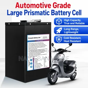 60v Lifepo4 Battery 30ah Capacity For E Bikes And Electric Aboboyaa