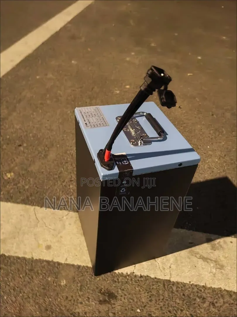 60v Lifepo4 Battery 30ah Capacity For E Bikes And Electric Aboboyaa