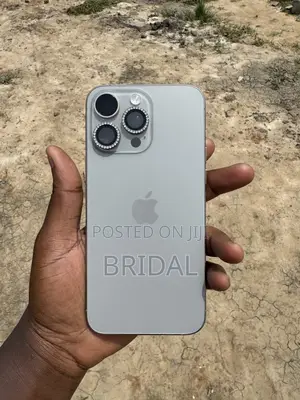 Apple iPhone 15 Pro Max 256 GB Silver