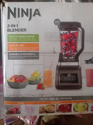 Ninja 2-in-1 Blender