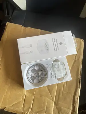 iPhone Charger