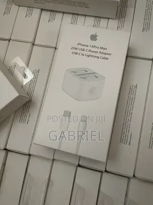 iPhone Charger