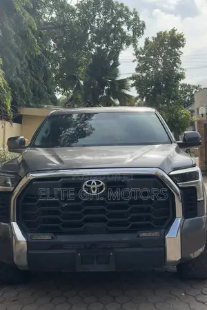 Toyota Tundra SR5 2022 Gray