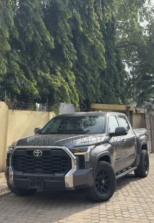 Toyota Tundra SR5 2022 Gray