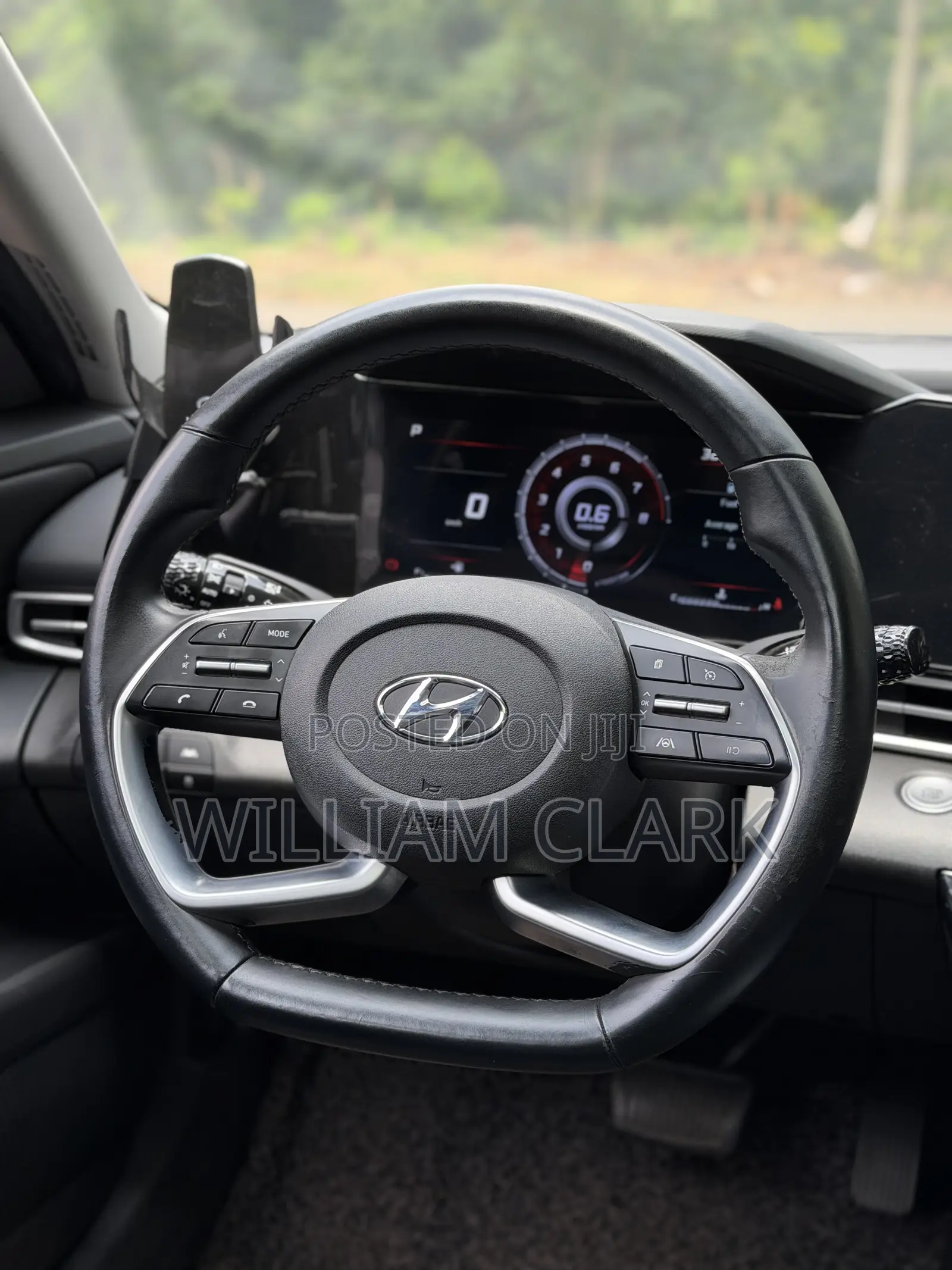 Hyundai Elantra Limited 2021 Blue