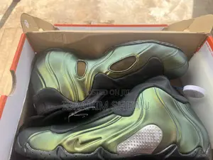 Nike Air Flightposite