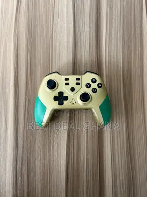 Nintendo Switch Controller
