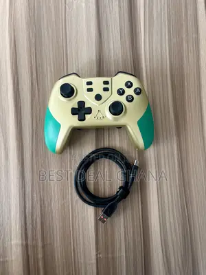 Nintendo Switch Controller