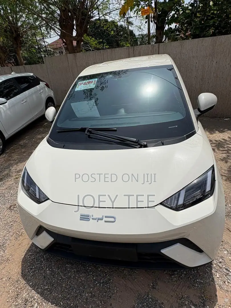 New BYD Seagull 30 kWh FWD 2023 White
